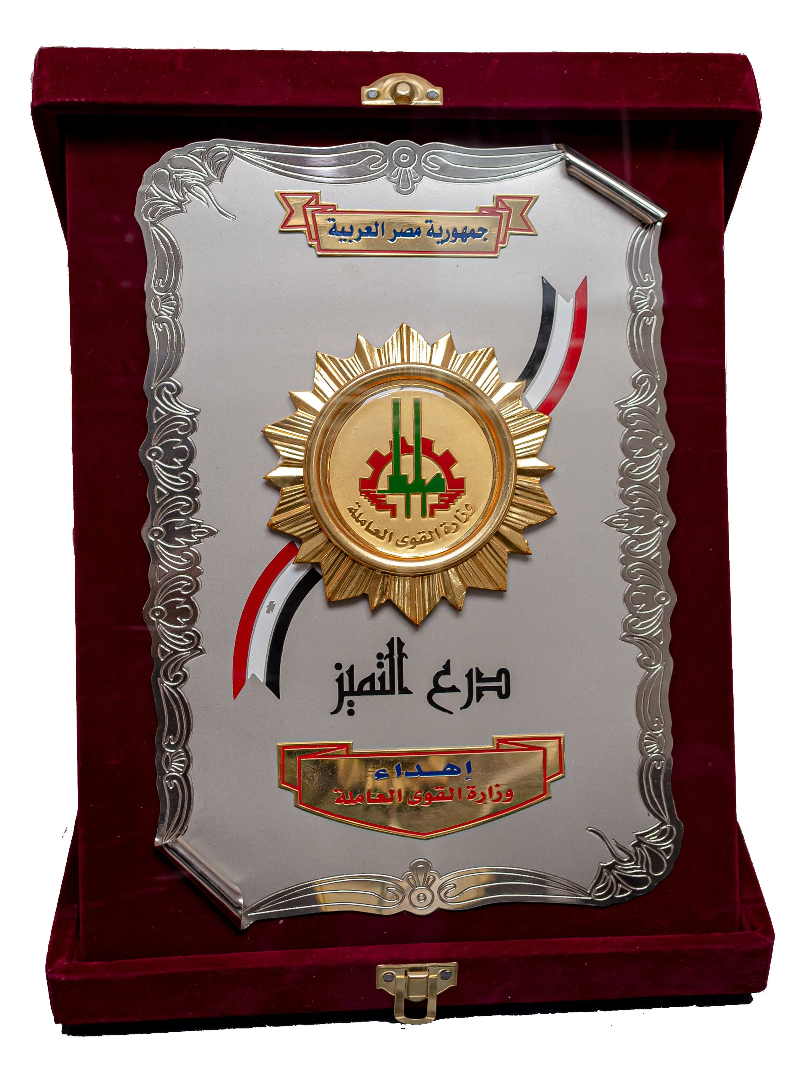 Received the Trophy of Excellence by the Government of Egypt